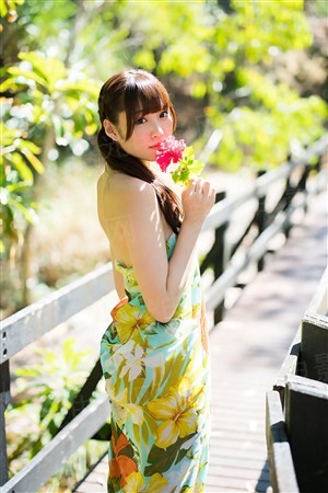 只恨芳华付东流